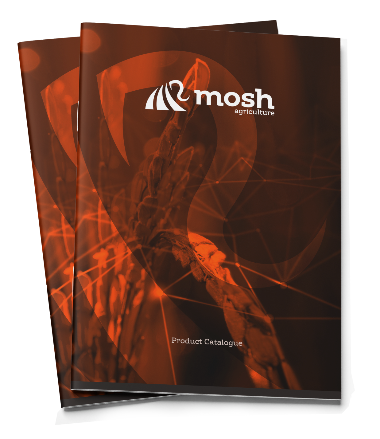 Mosh Katalog Diğer Ürünler